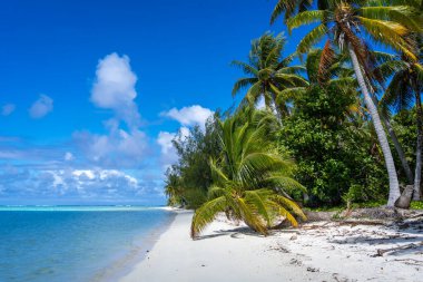 Maupiti 'de el değmemiş beyaz bir kumsal, Fransız Polinezyası, yemyeşil hindistan cevizi ağaçlarıyla kaplı ve turkuaz bir göle bakan, huzurlu ve tropikal bir cennet yaratıyor.