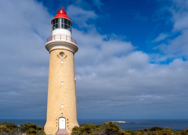 Cape Du Couedic deniz feneri Avustralya 'nın Kanguru Adası' ndaki Flinders Chase Ulusal Parkı 'nda kıyı bitkilerinin arasında yer alır. Kırmızı ve beyaz tepesi bulutlu gökyüzü ile çelişiyor.