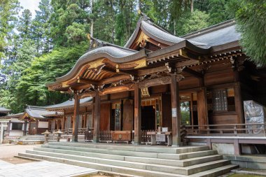 Japonya 'nın Takayama kentindeki Sakurayama Hachimangu Tapınağı' nın geleneksel ahşap yapıları sakin bir orman atmosferindeki yüksek yeşil ağaçların arasında huzur içinde dururlar.