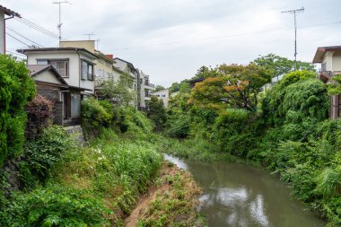 Nameri Nehri, Japonya 'nın Kamakura bölgesindeki yemyeşil ve geleneksel evler arasında huzur içinde esiyor.