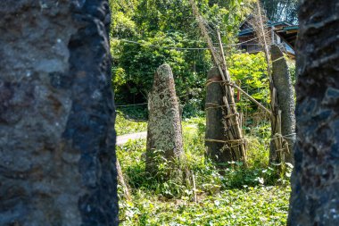 Geleneksel bir Toraja cenaze alanında yemyeşil dağların manzaralı bir zemin oluşturduğu yemyeşil bitki örtüsü arasında antik taş monolitler yükselir.