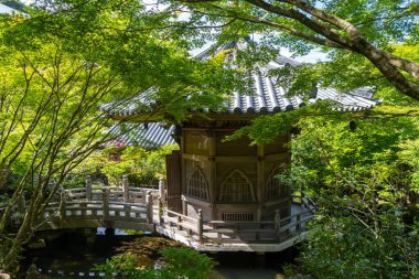 Japonya 'nın Miyajima Adası' ndaki Daisho-in Tapınağı 'nda akçaağaç ağaçları ve sakin suyla çevrili küçük ahşap bir pavyon uzanıyor.