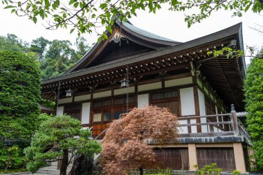 Japonya 'nın Kamakura kentindeki çam, akçaağaç ve orman ağaçlarının arasına yerleştirilmiş Hokoku-ji tapınağının geleneksel ahşap yapısı