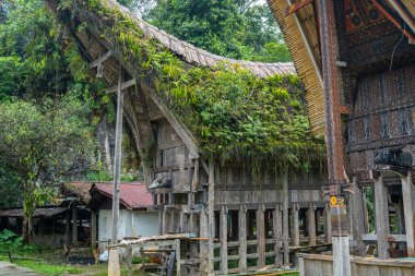 Bufalo boynuzlarıyla süslenmiş Tongkonan evleri Sulawesi, Endonezya 'daki Toraja halkının atalarının geleneklerini ve kültürel zenginliklerini temsil ediyor.