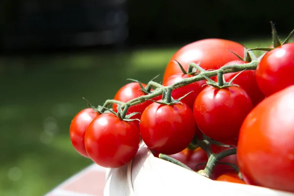 Tomates Cerises Gros Plan — Stock fotografie