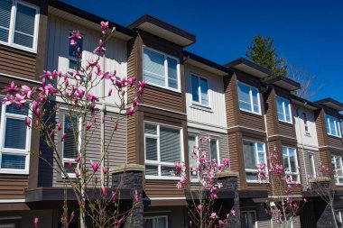 Yeni apartman güneşli ilkbaharda çiçek açan ağaçlar ile.