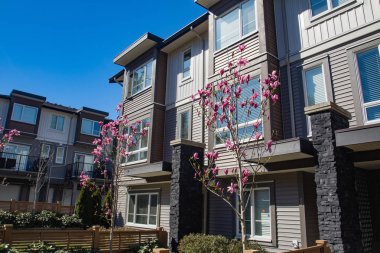 Yeni apartman güneşli ilkbaharda çiçek açan ağaçlar ile.