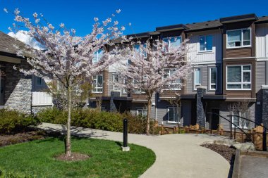 Modern alçak ahşap çerçeve karmaşık. İlkbaharda çiçek açan sakura ağaçları ile güneşli günde.