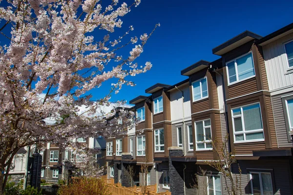 Novo Complexo Apartamentos Baixo Crescimento Dia Ensolarado Primavera Com Árvores — Fotografia de Stock