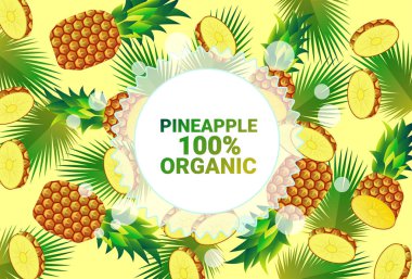 ananas meyve renkli daire kopya alanı taze meyve organik desen arka plan sağlıklı yaşam tarzı ya da diyet kavramı