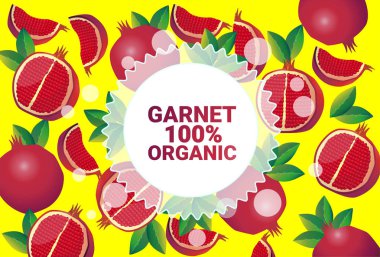 Garnet meyve renkli daire kopya alanı taze meyve desen arka plan sağlıklı yaşam tarzı ya da diyet kavram üzerinde organik