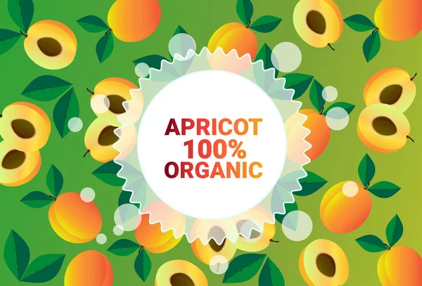 Aprikossoppa frukt färgglada cirkel kopia utrymme organiska över färska frukter mönster bakgrund hälsosam livsstil eller kost koncept — Stock vektor