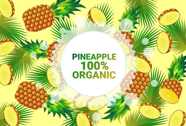 ananas meyve renkli daire kopya alanı taze meyve organik desen arka plan sağlıklı yaşam tarzı ya da diyet kavramı