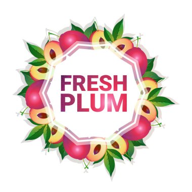 erik meyve renkli daire kopya alanı Beyaz Model arka plan üzerinde organik