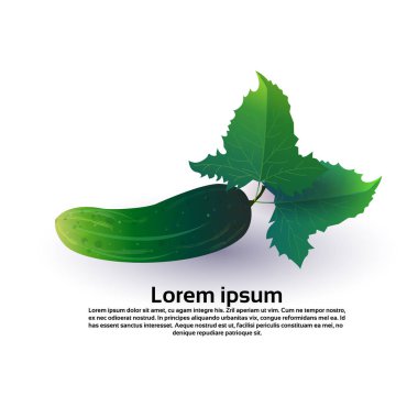 salatalık beyaz arka plan, sağlıklı yaşam tarzı ya da diyet kavramı, taze sebze için logo