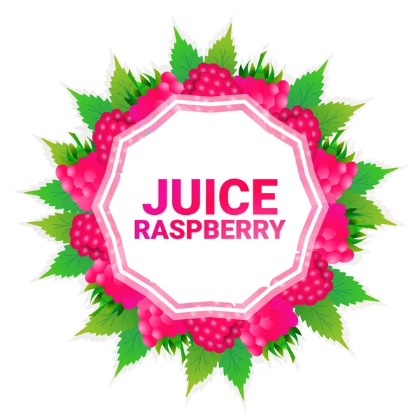 Ahududu meyve renkli daire kopya alanı Beyaz Model arka plan üzerinde organik