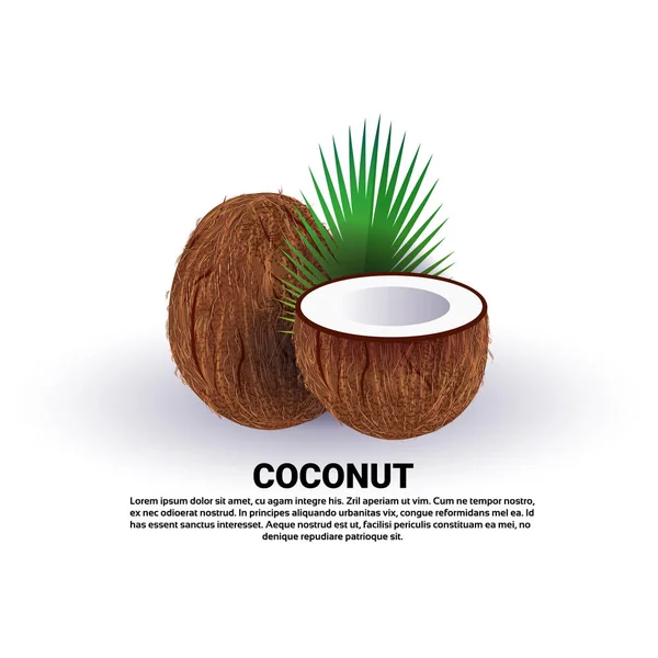 Coco sobre fondo blanco, estilo de vida saludable o concepto de dieta, logotipo para frutas frescas — Archivo Imágenes Vectoriales