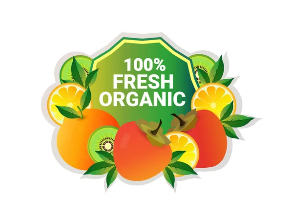 Frutta cachi colorato cerchio copia spazio organico su sfondo bianco modello — Vettoriale Stock