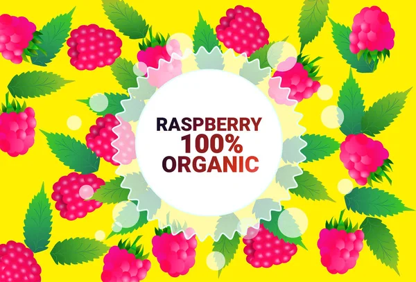 树莓果五颜六色的圆圈复制空间有机超过新鲜水果模式背景健康生活方式或饮食观念 — 图库矢量图片