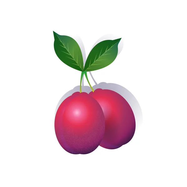 Plommon frukt på vit bakgrund, hälsosam livsstil eller kost-konceptet, logotypen för färsk frukt — Stock vektor