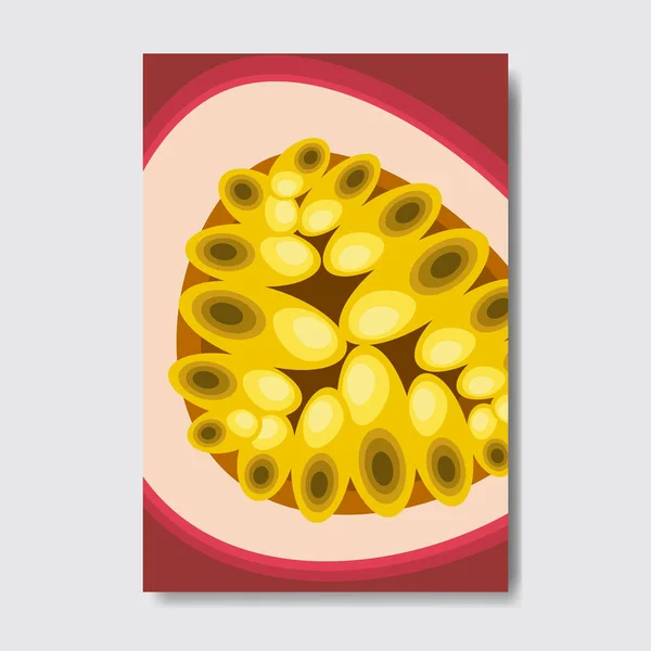 Cortado cartão modelo graanidilla, fatia de cartaz de frutas frescas no fundo branco, capa de revista cartaz layout vertical brochura, design plano, estilo de vida saudável ou conceito de dieta — Vetor de Stock