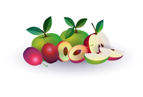 Pomme de prune sur fond blanc, mode de vie sain ou concept de régime alimentaire, logo pour fruits frais — Image vectorielle