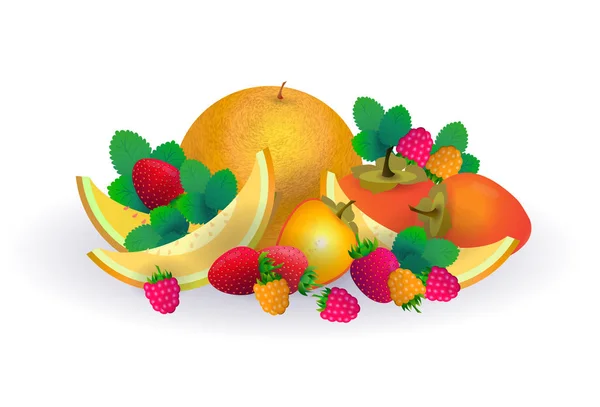 Fruto de maçã de melão no fundo branco, estilo de vida saudável ou conceito de dieta, logotipo para frutas frescas — Vetor de Stock