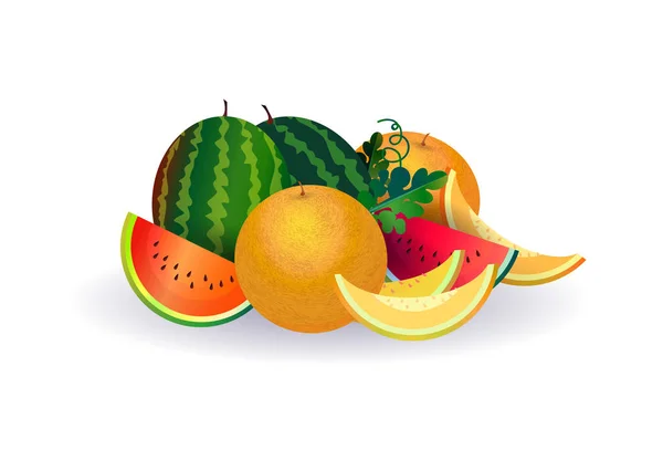 Fruta melancia melão no fundo branco, estilo de vida saudável ou conceito de dieta, logotipo para frutas frescas — Vetor de Stock