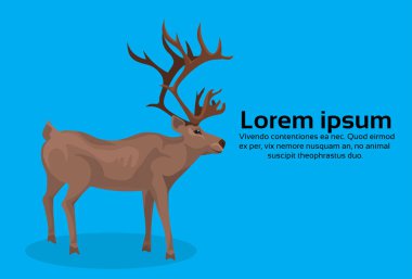 geyik hayvan Ren geyiği düz mavi arka plan Noel tebrik kartı yatay çizgi film