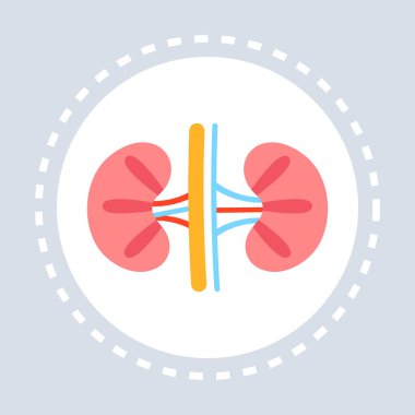 Anatomik insan böbrek simgesi sağlık tıbbi hizmet logosu tıp ve sağlık sembol kavramı düz