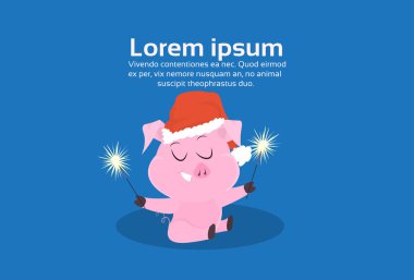 2019 Çin yeni yılı farklı şirin domuz sembolü neşeli Noel tatil kutlama kavramı düz yatay kopya alanı teşkil etmektedir.