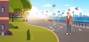 komuta sizde akın güvercin modern şehir quay kentsel cityscape gökdelenler arka plan yatay Banner düz besleme