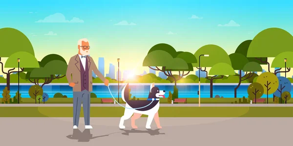 Senior hombre caminando con husky perro urbano ciudad parque fondo abuelo con su animal mascota mejor amigo concepto horizontal plana — Vector de stock