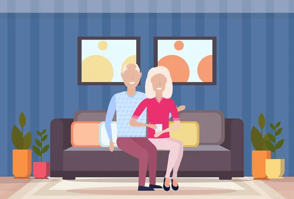 Pareja de ancianos abrazo sentado en el sofá feliz abuelos encantadora madura anciano y mujer en el amor moderno salón interior de longitud completa plana horizontal — Vector de stock