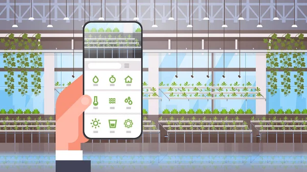 Mano celebración smartphone usando inteligente control sistema de agricultura aplicación móvil orgánico hidropónico plantas verdes fila cultivo granja moderno invernadero interior horizontal — Vector de stock