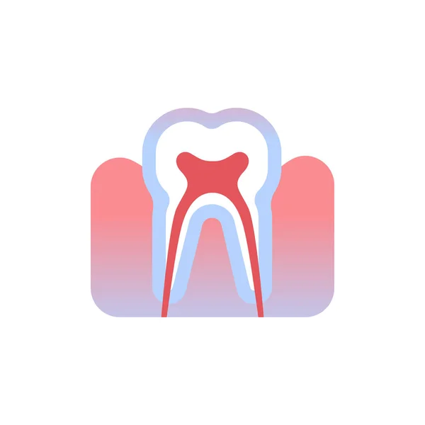 Tand pictogramachtergrond orgel van de menselijke anatomie gezondheidszorg medische concept wit — Stockvector