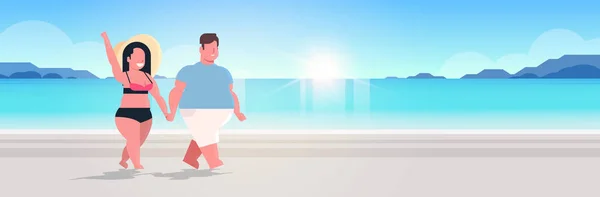 肥胖夫妇步行海滩超重的男人女人在爱牵手暑假概念美丽的海滨日落景观背景全长平水平 — 图库矢量图片