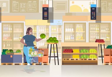 Amerikan bakkal alışveriş büyük yağlı kadın kavramı kilo kaybı vücut meyve dükkanı mağaza seçim yatay