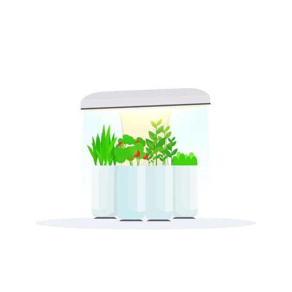 Moderne indoor groenten en fruittuin digitale broeikasgassen elektronische terrarium boerderij glazen container Eco landbouw huis planten groeiende concept platte witte achtergrond — Stockvector