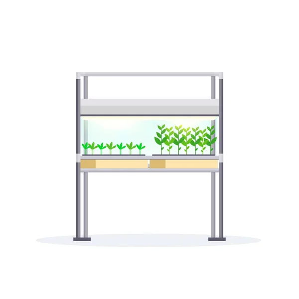 Jardín interior moderno invernadero digital terrario electrónico granja vidrio contenedor eco agricultura casa plantas concepto de crecimiento plano fondo blanco — Vector de stock