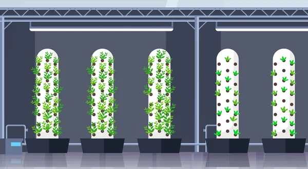 Moderní organická hydrofobní vertikální farma interiér zemědělství inteligentní farmářství koncepce zelené závody rostoucí průmysl horizontální byt — Stockový vektor