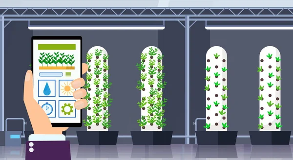 Mão usando aplicativo móvel sistema de agricultura de controle inteligente conceito de agricultura tela de smartphone moderna orgânica hidropônica vertical fazenda interior plantas verdes crescente indústria horizontal plana —  Vetores de Stock