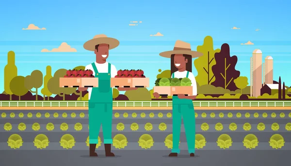 Paar Bauern halten Kisten rote grüne Tomaten Mann afrikanisch-amerikanische Frau Ernte Gemüse ökologische Landwirtschaft Konzept Ackerland Land Landschaft volle Länge horizontal — Stockvektor