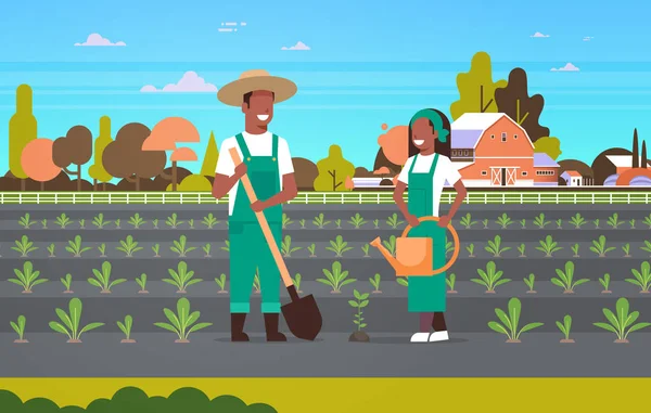 Pareja agricultores plantación plántulas plantas vegetales africano americano hombre mujer jardineros utilizando pala regadera eco agricultura concepto campo paisaje horizontal — Vector de stock