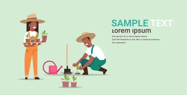 Couple farmers planting young seedlings plants flowers vegetables african american man woman working in garden agricultural workers eco farming concept full length copy space horizontal — Stock Vector