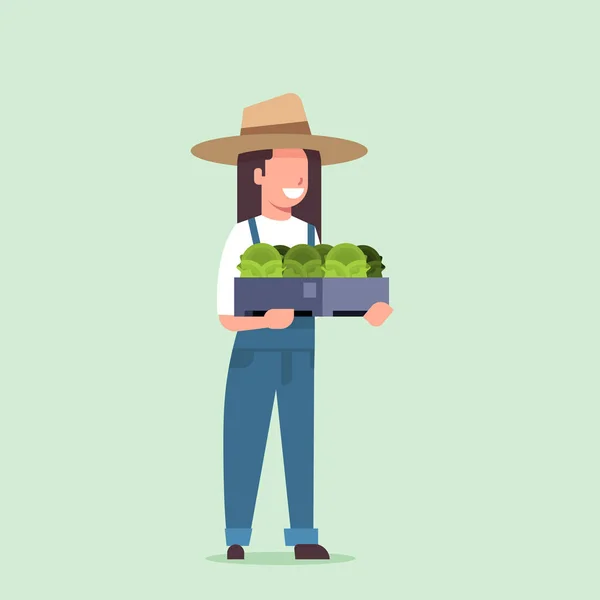 幸福女农民拿着盒子用绿色新鲜生菜白菜妇女收获蔬菜农业工人在统一的生态农业概念平全长 — 图库矢量图片