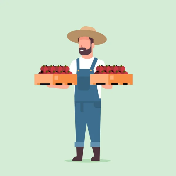 Agriculteur mâle exploitation boîtes avec tomates rouges mûres homme récolte légumes travailleur agricole éco-agriculture concept plat pleine longueur — Image vectorielle