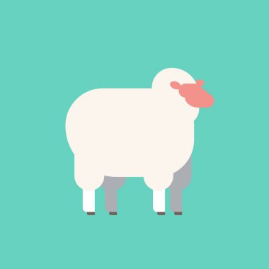 sevimli beyaz koyun yün çiftliği evcil hayvan ıslah konsepti düz