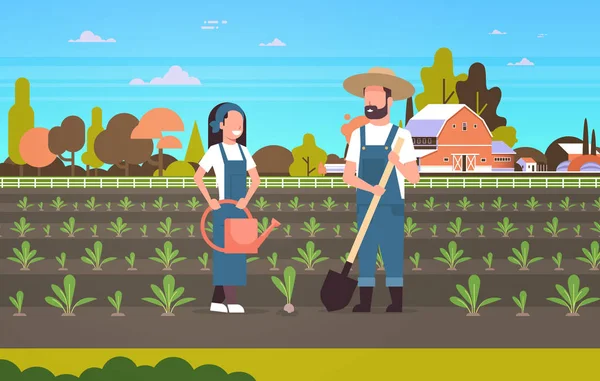 Pareja agricultores plantación plántulas plantas vegetales hombre mujer jardineros utilizando pala y regadera agrícola trabajadores concepto de agricultura ecológica tierras de cultivo paisaje horizontal — Vector de stock