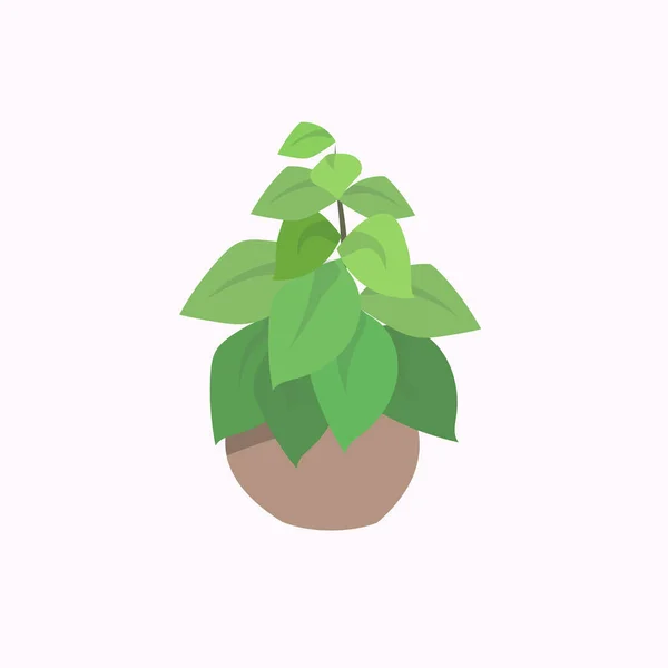 Γλάστρα φυτό απομονωθεί σε λευκό φόντο επίπεδη — Διανυσματικό Αρχείο